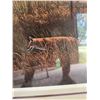 Image 9 : R.S. Parker 1985 Fox in Field Limited Edition