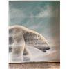 Image 10 : Earl McKay Polar Bear Painting, 1988