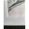 Image 5 : Green Coulee Etching by Dinschelues 1997