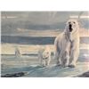 Image 1 : Framed Polar Bear Print, 13x10 Inches