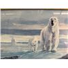 Image 4 : Framed Polar Bear Print, 13x10 Inches