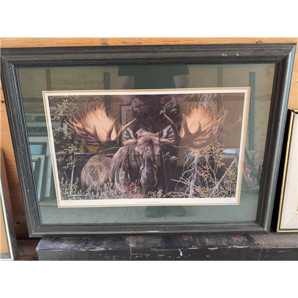 Close Encounter Alaska Moose Print