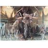 Image 5 : Close Encounter Alaska Moose Print