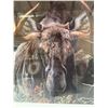 Image 6 : Close Encounter Alaska Moose Print