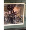 Image 7 : Close Encounter Alaska Moose Print