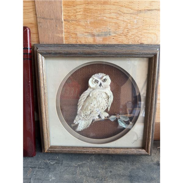 Shadow Box Owl Relief Artwork
