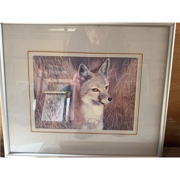 Framed Fox Portrait Print by Les Kouba