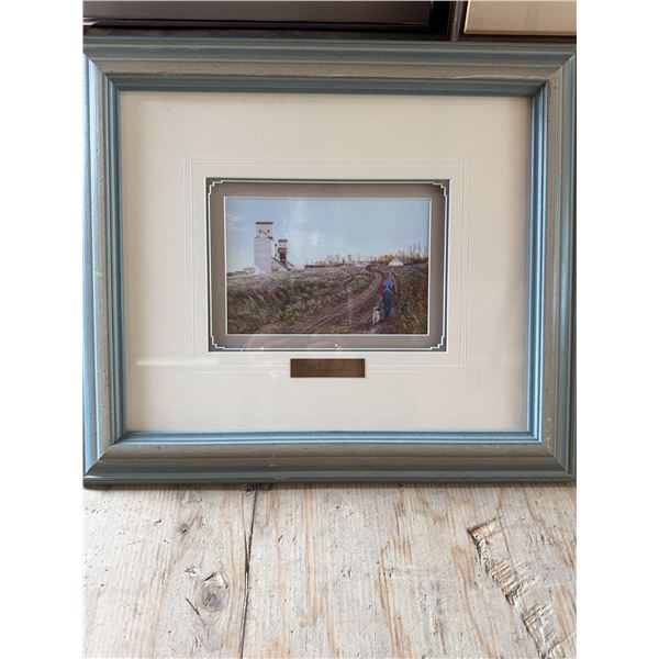 Benji's Walk Framed Print