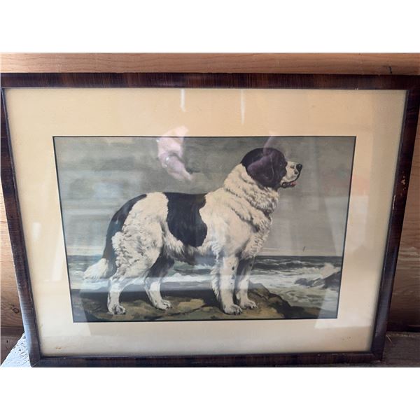 Framed Dog Print, 13 x 10 Inches