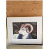 Image 2 : Ron Tilbury Framed Ram Watercolor