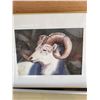 Image 3 : Ron Tilbury Framed Ram Watercolor