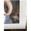 Image 4 : Ron Tilbury Framed Ram Watercolor