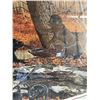 Image 11 : Norman Adams Black Labs Limited Edition Print