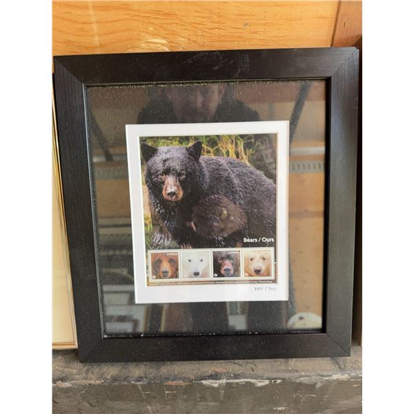 Framed Canadian Bear Stamp Sheet