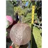 Image 3 : Pink Satin Glass Oil Lamp with Floral Motif