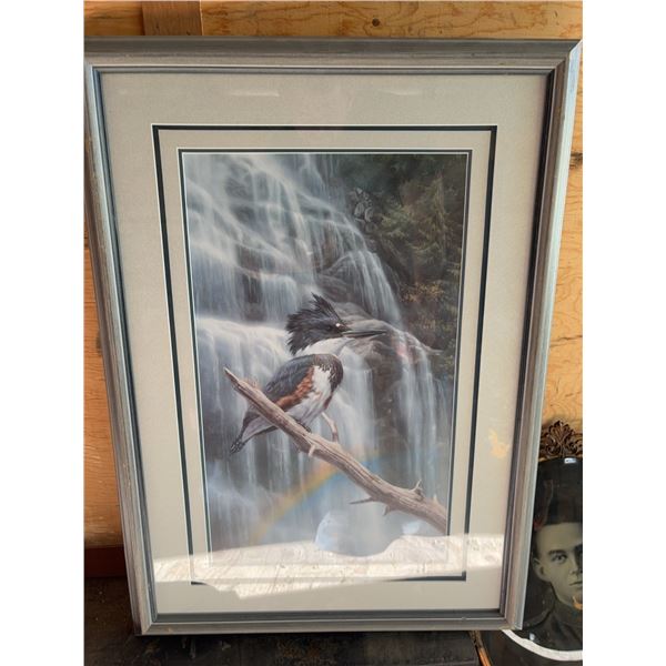 Framed Signed R. Raffle 1992 Bird Print
