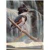 Image 4 : Framed Signed R. Raffle 1992 Bird Print