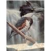 Image 6 : Framed Signed R. Raffle 1992 Bird Print