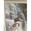 Image 7 : Framed Signed R. Raffle 1992 Bird Print