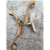 Image 5 : Irvin Kuptana Inuit Antler and Bone Sculpture