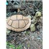 Image 3 : Decorative Large Resin Tortoise Garden Statue