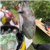 Image 9 : Large Metal Patchwork Turtle Storage Sculpture