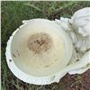 Image 3 : Decorative Angel Garden Bird Bath, 19 Inches