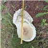 Image 5 : Decorative Angel Garden Bird Bath, 19 Inches