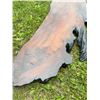 Image 11 : Live Edge Epoxy Resin Wood Slab, Approximately 130 cm