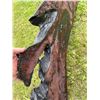 Image 13 : Live Edge Epoxy Resin Wood Slab, Approximately 130 cm