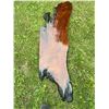 Image 2 : Live Edge Epoxy Resin Wood Slab, Approximately 130 cm