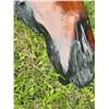 Image 4 : Live Edge Epoxy Resin Wood Slab, Approximately 130 cm