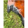 Image 6 : Live Edge Epoxy Resin Wood Slab, Approximately 130 cm