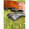 Image 7 : Live Edge Epoxy Resin Wood Slab, Approximately 130 cm