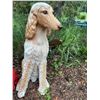 Image 1 : Resin Afghan Hound Dog Garden Statue 24" Tall