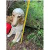 Image 5 : Resin Afghan Hound Dog Garden Statue 24" Tall