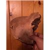 Image 1 : Large Polypore Conk Mushroom Fungus Specimen