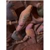 Image 3 : Painted Plaster Wall Plaque with Six Parrots