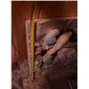 Image 2 : Hand-Carved Parrot Relief Wall Panel 17" x 17"