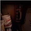 Image 3 : German Beer Steins and Decorative Mugs