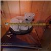 Image 8 : Polar Bear and Cub Sculpture by Nyman's Artifacts