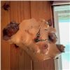 Image 1 : Rustic Wooden Burl Wall Clock with Natural Edge