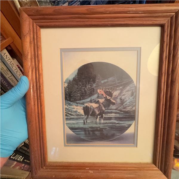 Framed Moose Print with Rustic Wooden Frame