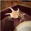 Image 6 : Eclectic Wall Decor Lot With Mirror, Fan, Shells and Nautical Items