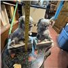 Image 8 : Carved Marble Chinese Foo Dog Statues, 11.5" Tall