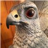 Image 14 : Hand-Carved Wooden Hawk Sculpture on Driftwood Base