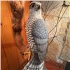 Image 4 : Hand-Carved Wooden Hawk Sculpture on Driftwood Base