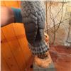 Image 9 : Hand-Carved Wooden Hawk Sculpture on Driftwood Base