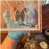 Image 5 : Signed Display of Green-Banded Swallowtail Butterfly