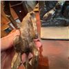 Image 4 : Cast Metal Bookends – Monkey and Three Owls Motif